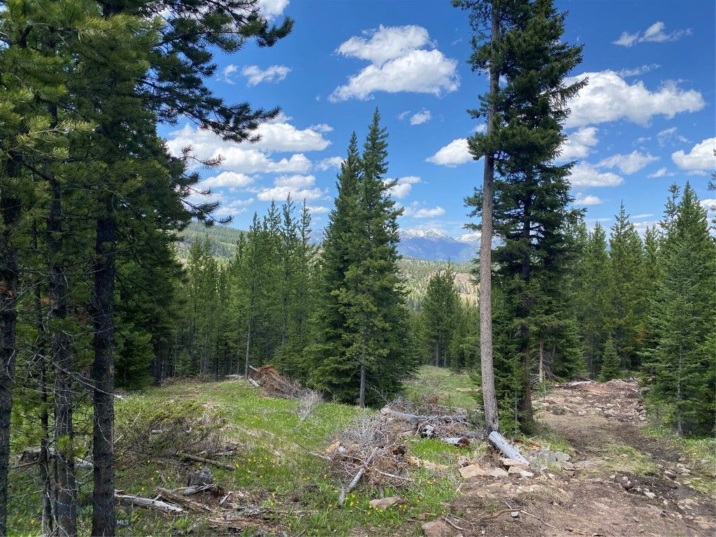 TBD Bear Den Court Road, Big Sky, MT 59716 photo 5