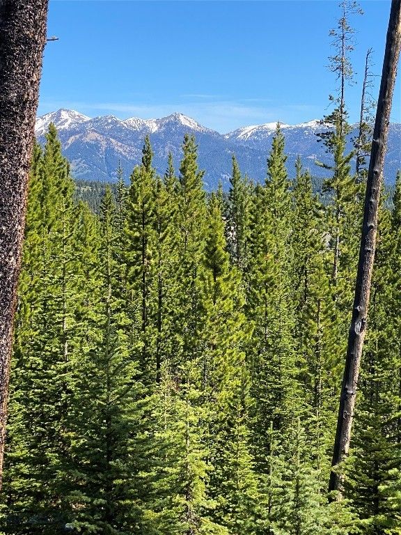 TBD Bear Den Court Road, Big Sky, MT 59716 photo 8