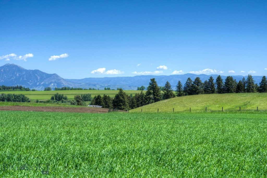 13830 (Tract D) Cottonwood Road, Bozeman, MT 59718 photo 7