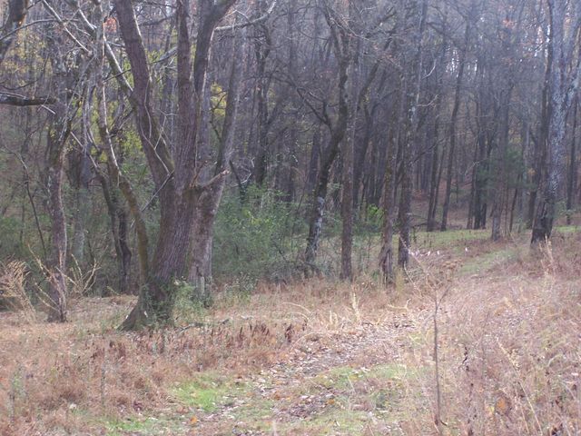 2176 Columbia Hwy, Pulaski, TN 38478