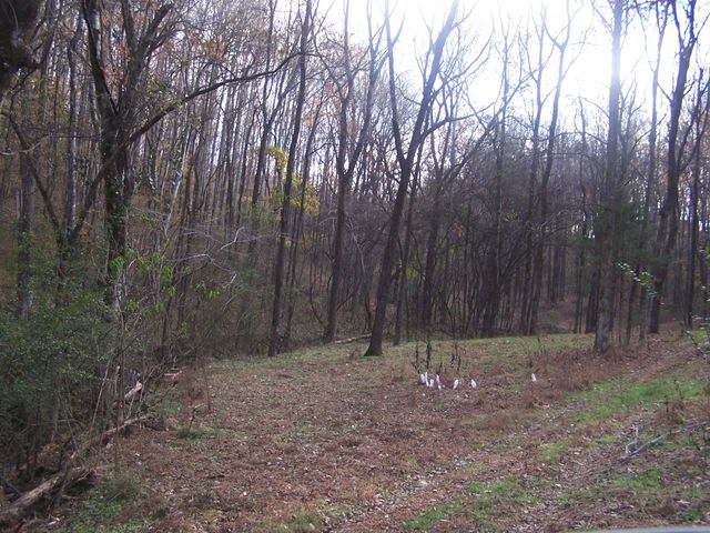 2176 Columbia Hwy, Pulaski, TN 38478