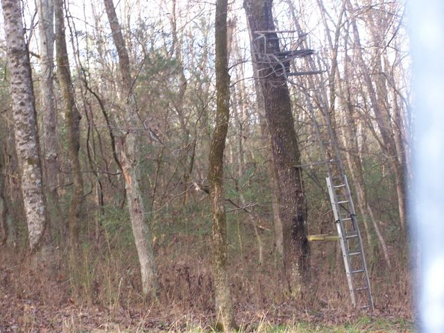 2176 Columbia Hwy, Pulaski, TN 38478