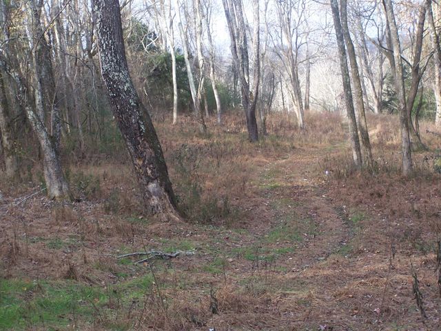 2176 Columbia Hwy, Pulaski, TN 38478