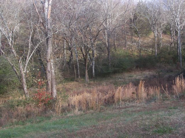 2176 Columbia Hwy, Pulaski, TN 38478