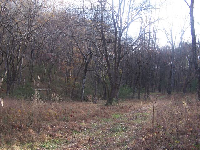2176 Columbia Hwy, Pulaski, TN 38478