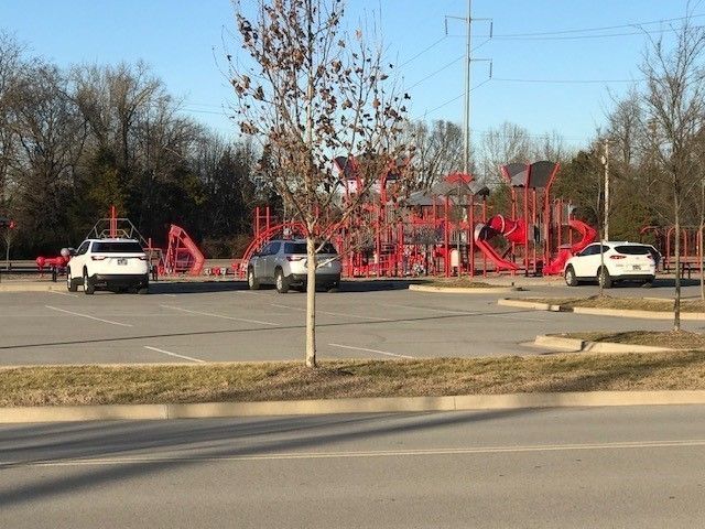 520 Blue Olive Drive, Smyrna, TN 37167