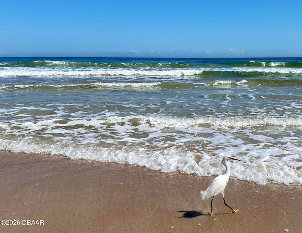 82 Calumet Avenue, Ponce Inlet, FL 32127