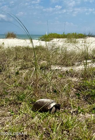 82 Calumet Avenue, Ponce Inlet, FL 32127