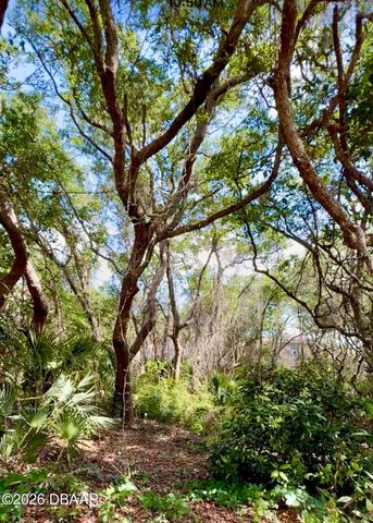 82 Calumet Avenue, Ponce Inlet, FL 32127