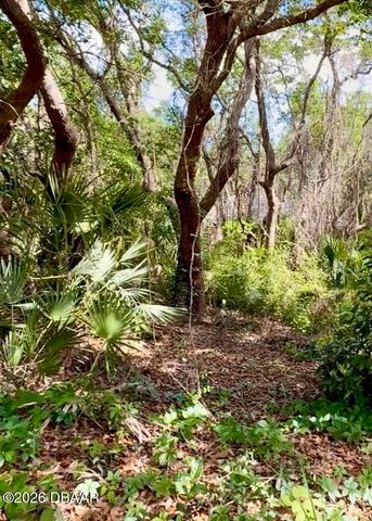 82 Calumet Avenue, Ponce Inlet, FL 32127