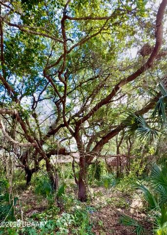 82 Calumet Avenue, Ponce Inlet, FL 32127