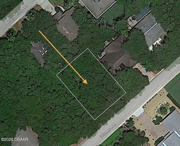 82 Calumet Avenue, Ponce Inlet, FL 32127