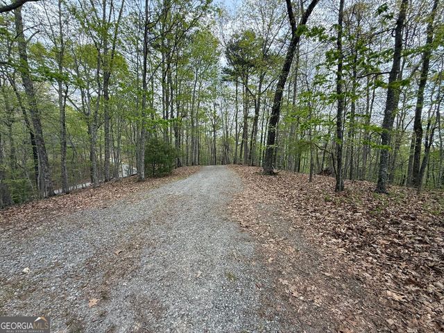 175 Antler Way, Morganton, GA 30560