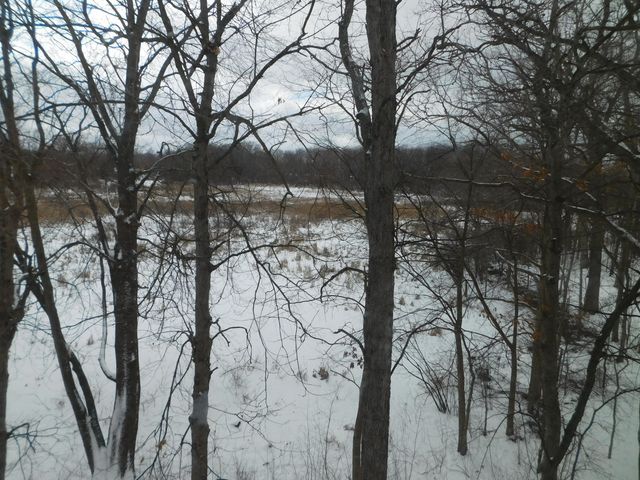 3288 Hickory Drive, Lake Orion Twp, MI 48359