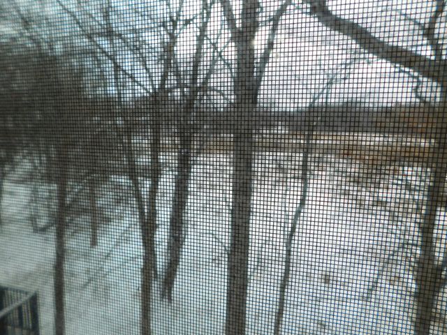 3288 Hickory Drive, Lake Orion Twp, MI 48359