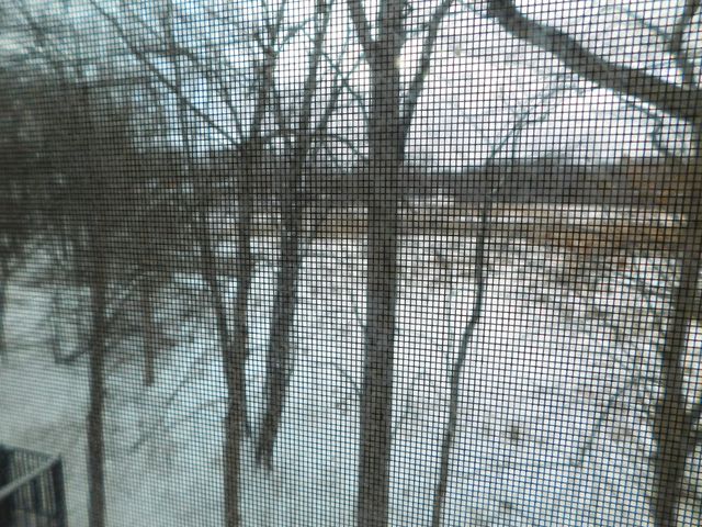 3288 Hickory Drive, Lake Orion Twp, MI 48359