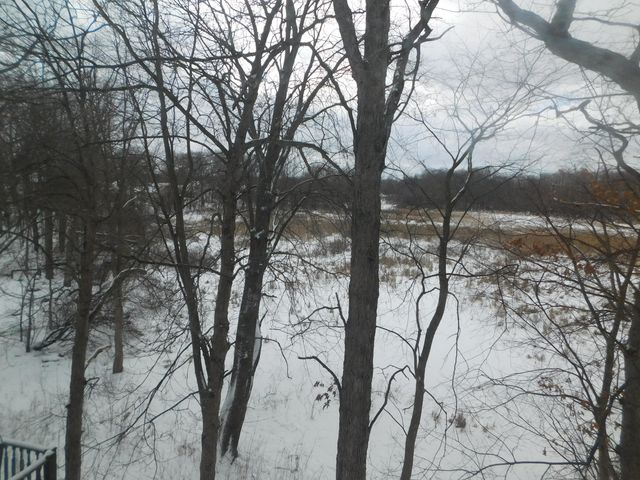 3288 Hickory Drive, Lake Orion Twp, MI 48359