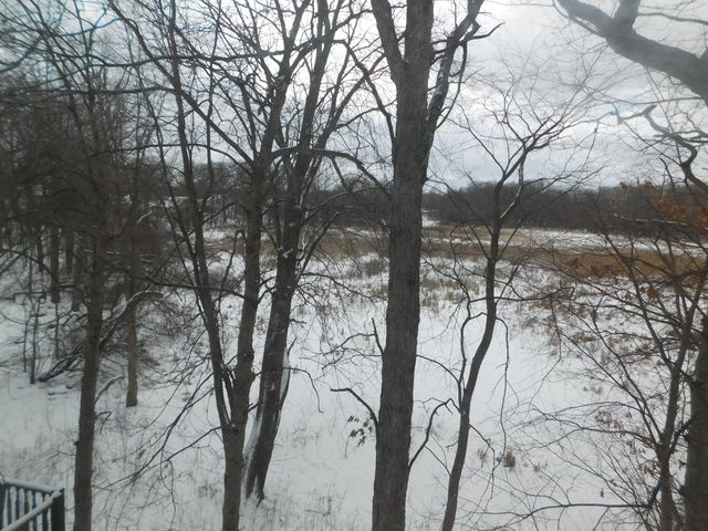 3288 Hickory Drive, Lake Orion Twp, MI 48359