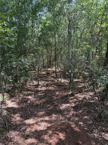 861 SADDLEWOOD BOULEVARD, Lakeland, FL 33809