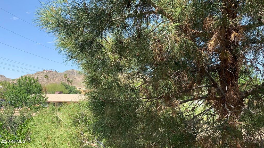 10410 N CAVE CREEK Road 2100, Phoenix, AZ 85020