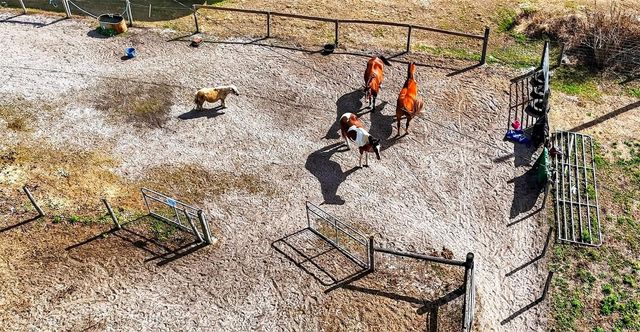 4361 COOPER ROAD, Plant City, FL 33565