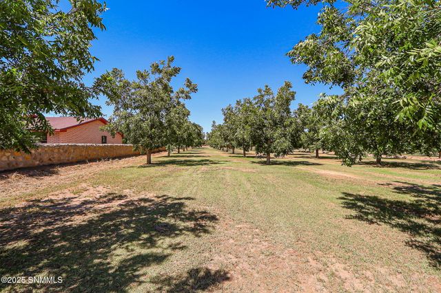 10917 N Valley Drive, Las Cruces, NM 88007