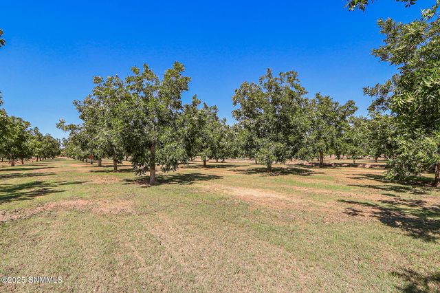 10917 N Valley Drive, Las Cruces, NM 88007