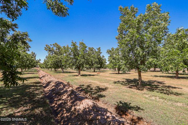 10917 N Valley Drive, Las Cruces, NM 88007