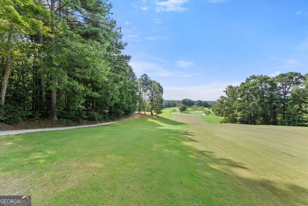 0 Duchess Lane #1005, Clarkesville, GA 30523 — photo 4