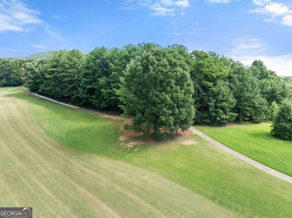 0 Duchess Lane #1005, Clarkesville, GA 30523 — photo 5