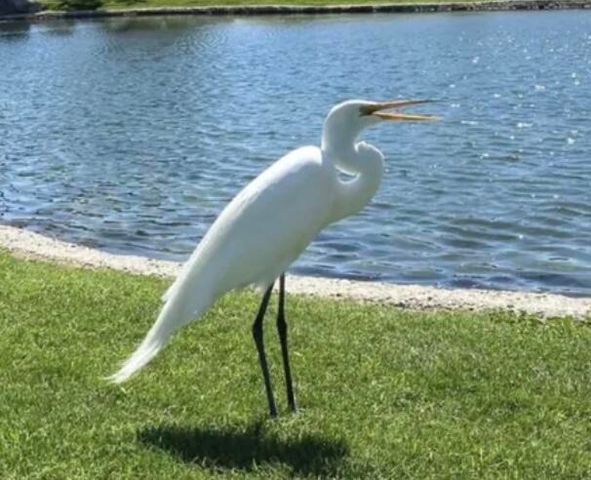 74711 Dillon Rd Spc 95, Desert Hot Springs, CA 92241