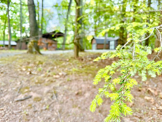 579 TUCKAHOE TRL TRL, Hedgesville, WV 25427