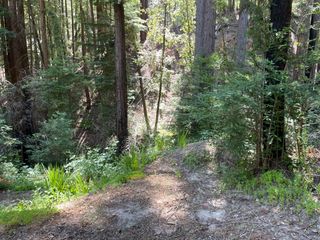 506 Sunset Road, Boulder Creek, CA 95006