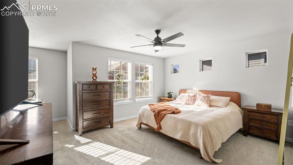9443 Cashel Trail, Colorado Springs, CO 80927 — photo 4