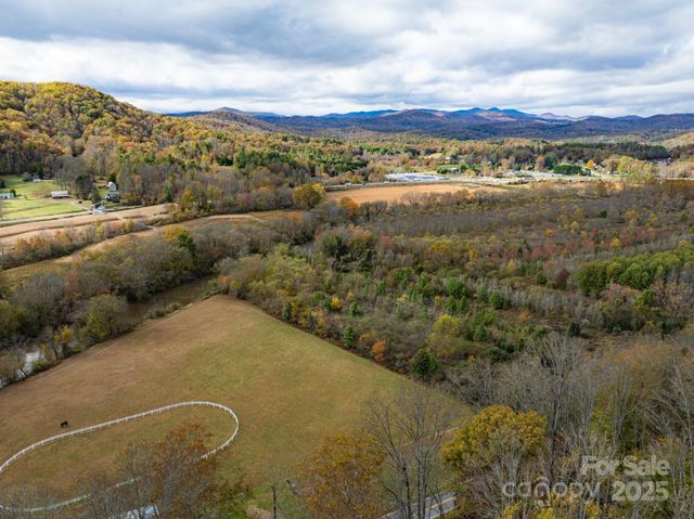 20 Nature Walk Lane, Etowah, NC 28739