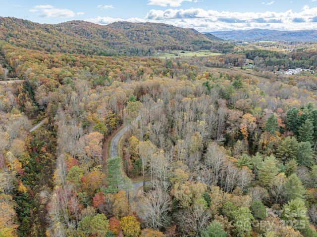 20 Nature Walk Lane, Etowah, NC 28739