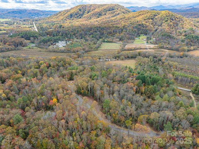 20 Nature Walk Lane, Etowah, NC 28739