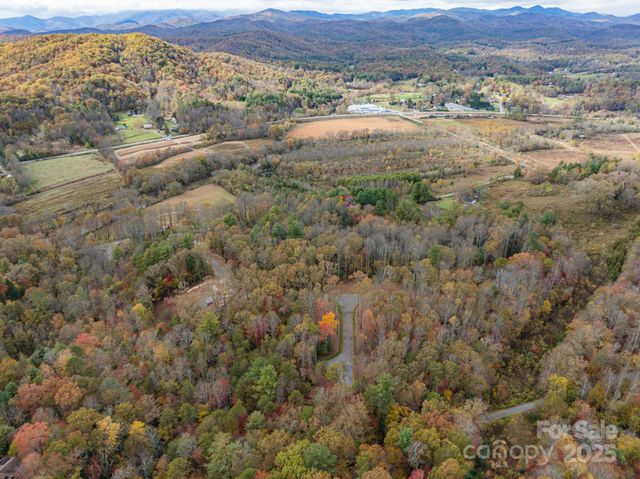 20 Nature Walk Lane, Etowah, NC 28739
