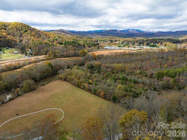 20 Nature Walk Lane, Etowah, NC 28739