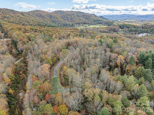 20 Nature Walk Lane, Etowah, NC 28739