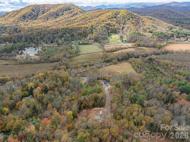 20 Nature Walk Lane, Etowah, NC 28739
