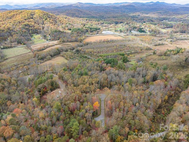 20 Nature Walk Lane, Etowah, NC 28739