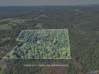 35 ACRES Pine Ridge Road, Union Grove, AL 35175