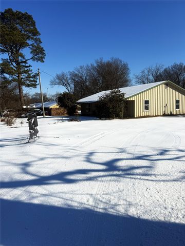 140 Pecan Street, Blossom, TX 75416