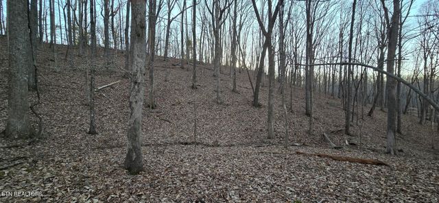 119 Pineridge Loop, Fairfield Glade, TN 38558