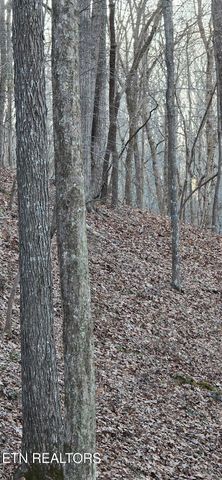 119 Pineridge Loop, Fairfield Glade, TN 38558