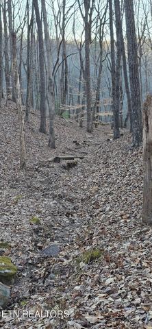 119 Pineridge Loop, Fairfield Glade, TN 38558