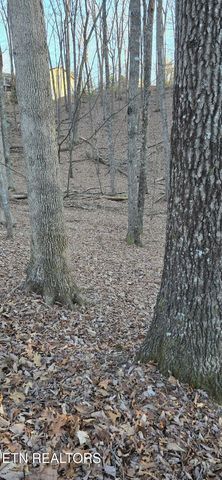 119 Pineridge Loop, Fairfield Glade, TN 38558