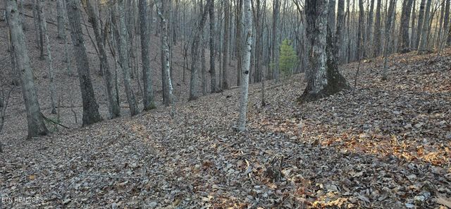 119 Pineridge Loop, Fairfield Glade, TN 38558