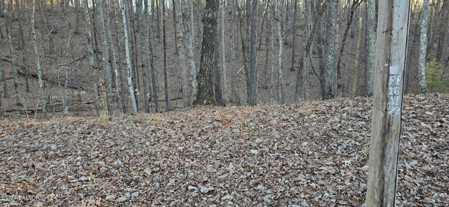 119 Pineridge Loop, Fairfield Glade, TN 38558